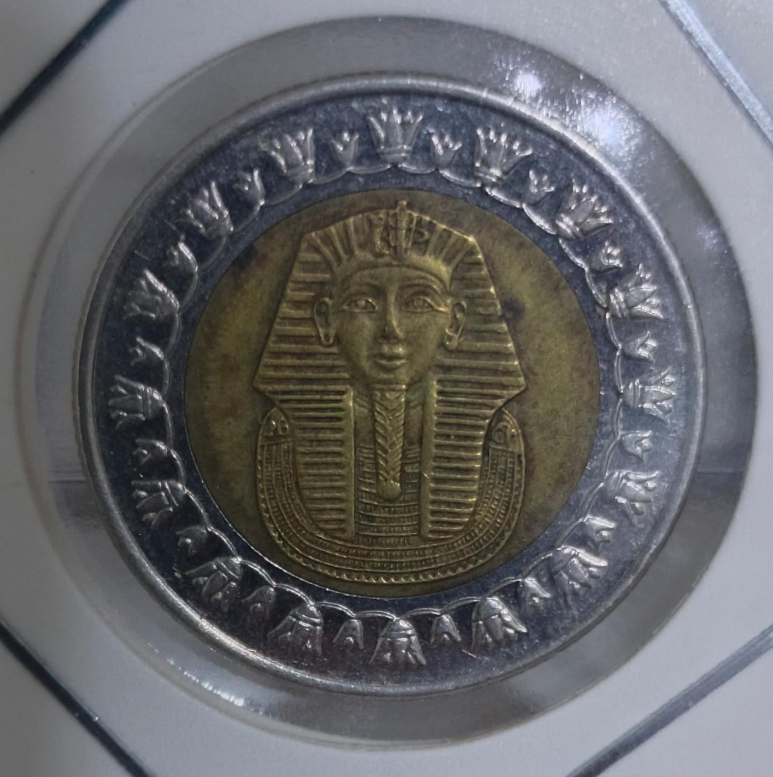 1 pound 2007