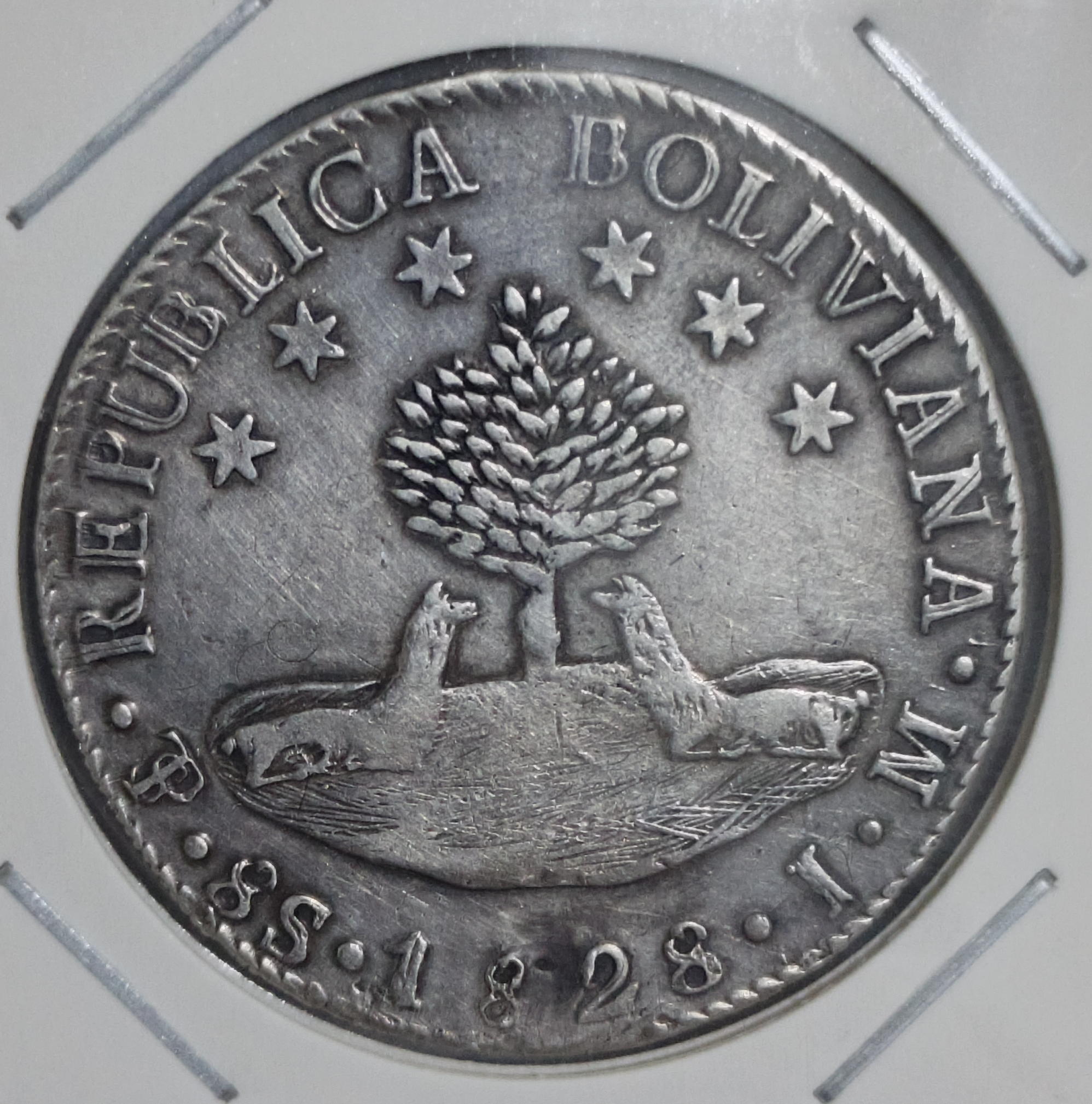Reverso de 8 SOLES 1828
